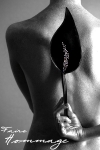 Paddle Calla - Faire Hommage Paddle Calla - Faire Hommage
