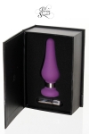 Plug Medium Porte Secrète Plug Medium Porte Secrète