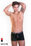 Boxer The Player Boxer The Player